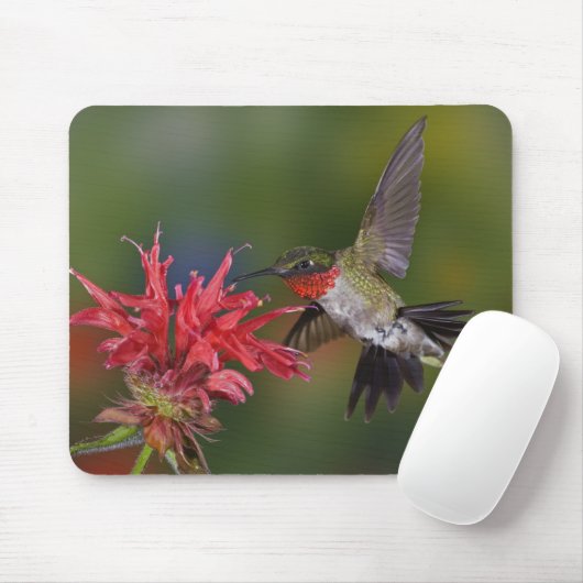 Männlicher Ruby-throated Hummingbird Mousepad (Mit Mouse)