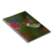 Männlicher Ruby-throated Hummingbird Notizblock (Rechte Seite)