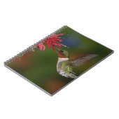 Männlicher Ruby-throated Hummingbird Notizblock (Linke Seite)