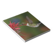 Männlicher Ruby-throated Hummingbird Notizblock (angewinkelt)