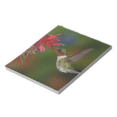 Männlicher Ruby-throated Hummingbird Notizblock (Rotiert)
