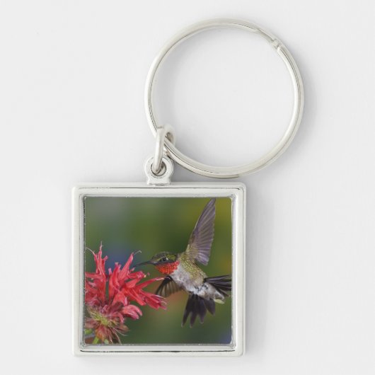 Männlicher Ruby-throated Hummingbird Schlüsselanhänger (Vorne)