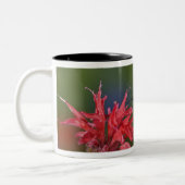 Männlicher Ruby-throated Hummingbird Zweifarbige Tasse (Links)