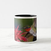 Männlicher Ruby-throated Hummingbird Zweifarbige Tasse (Mittel)