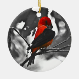 Männlicher Scharlachtangare Keramikornament