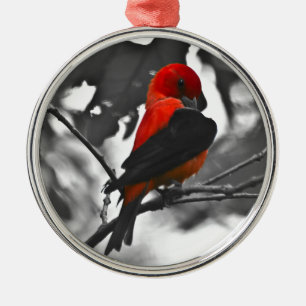 Männlicher Scharlachtangare Ornament Aus Metall