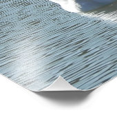 Männlicher Schwan Fotodruck (Ecke)