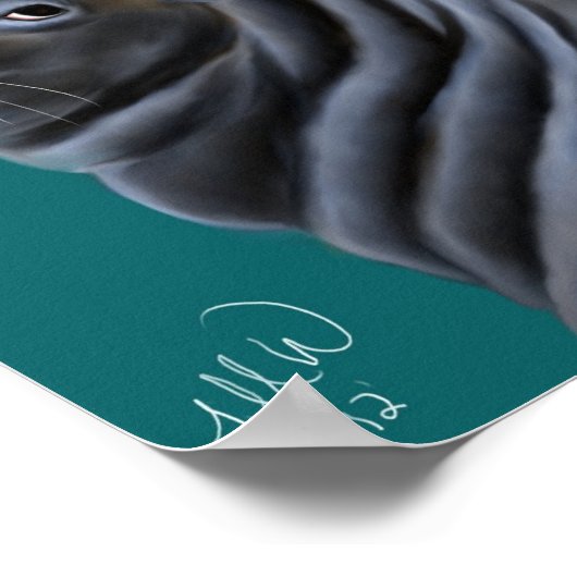 Männlicher Seelöwe Poster (Ecke)