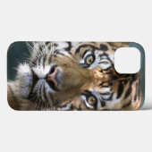 Männlicher Sumatran Tiger (der Pantheratigris Case-Mate iPhone Hülle (Rückseite (Horizontal))