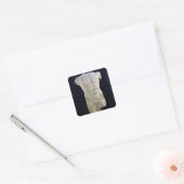 Männlicher Torso von Miletus, c.480 BC Quadratischer Aufkleber (Umschlag)