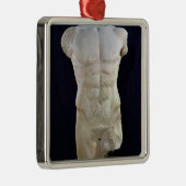 Männlicher Torso von Miletus, c.480 BC Silbernes Ornament (Rechts)