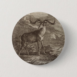 Männlicher und junger Rothirsch Button