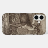 Männlicher und junger Rothirsch Case-Mate iPhone Hülle (Rückseite (Horizontal))