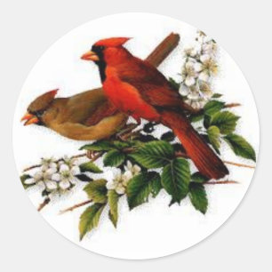 Männlicher und weiblicher Kardinal auf einer Runder Aufkleber