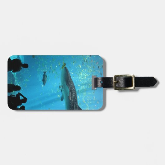 Männlicher Walhai Gepäckanhänger (Vorderseite horizontal)