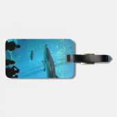 Männlicher Walhai Gepäckanhänger (Rückseite horizontal)