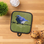 Männlicher Western Bluebird mit Bugs Topflappen (Oben Unten)