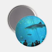 Männlicher Whale Hai im Georgia Aquarium Magnet (Vorderseite/Rückseite)