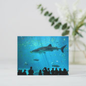 Männlicher Whale Hai im Georgia Aquarium Postkarte (Stehend Vorderseite)