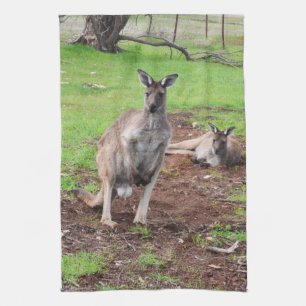 Männliches australisches Känguru, Geschirrtuch