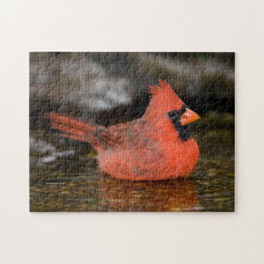 männliches Bad im nördlichen Kardinal Puzzle (Horizontal)