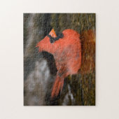 männliches Bad im nördlichen Kardinal Puzzle (Vertikal)
