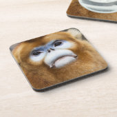 Männliches goldenes Affe Pygathrix roxellana, Getränkeuntersetzer (Linke Seite)