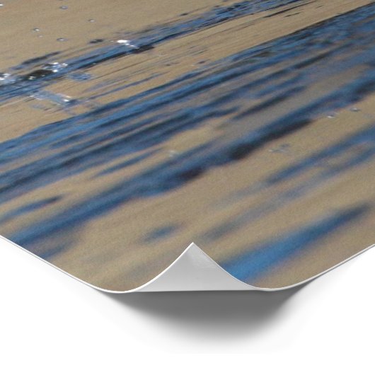 Männliches Goldeneye-Flattern Poster (Ecke)