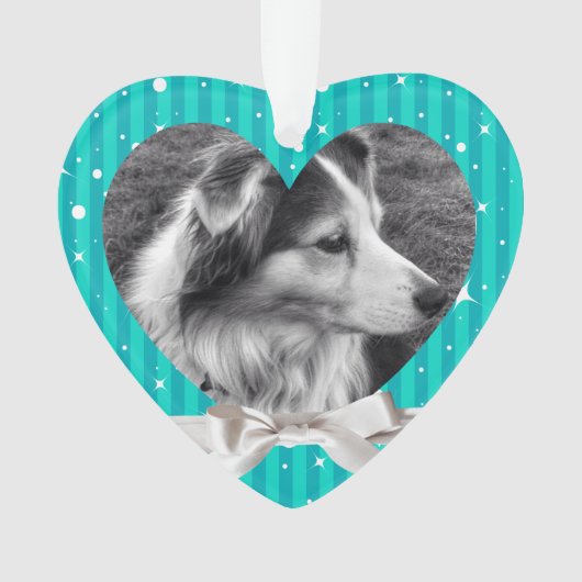 Männliches Hunde-oder Katzen-erstes Ornament (Vorderseite)