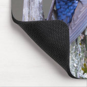 Männliches Lila Martin-Nest über dem See Sammamish Mousepad (Ecke)