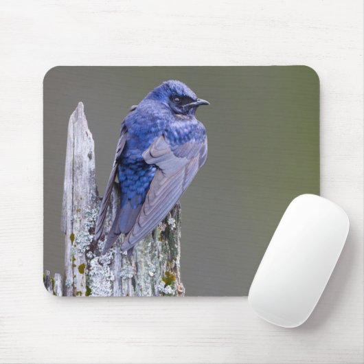 Männliches Lila Martin-Nest über dem See Sammamish Mousepad (Mit Mouse)