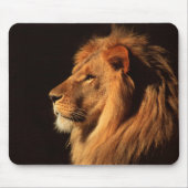 Männliches Löwe-Profil - Tier-Bilder durch Steven Mousepad (Vorne)