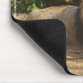 Männliches Löwen-Mauspad Mousepad (Ecke)