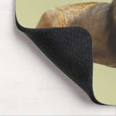 Männliches Löwen-Mauspad Mousepad (Ecke)