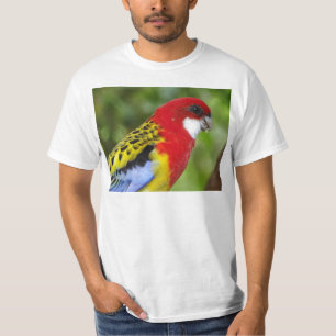 Männliches OstRosella T-Shirt
