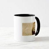 Männliches Porträt des Löwes (Panthera Löwe), Tasse (VorderseiteRechts)