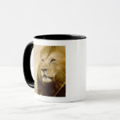 Männliches Porträt des Löwes (Panthera Löwe), Tasse (Vorderseite Links)