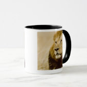 Männliches Porträt des Löwes (Panthera Löwe), Tasse (VorderseiteRechts)