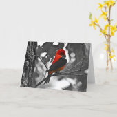 Männliches Scharlachrot Tanager- Karte (Gelbe Blume)