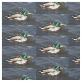 Männliches Stockenten-Enten-Gewebe Stoff (Muster)