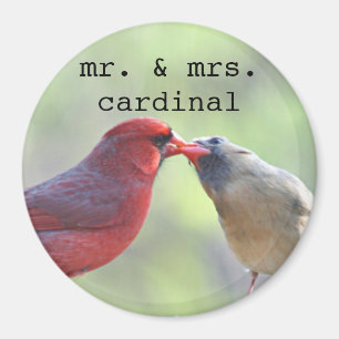 Männliches und weibliches Kardinals-Foto Magnet