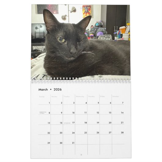 Manny Halloween Cat 2025 Kalender (Mär 2026)