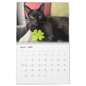 Manny Halloween Cat 2026 Calendar Kalender (Mär 2027)