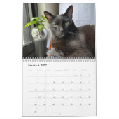 Manny Halloween-Katze 2026 Kalender (Jan 2027)