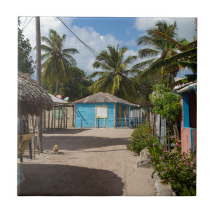Mano Juan village in Saona Domenican Republic Fliese
