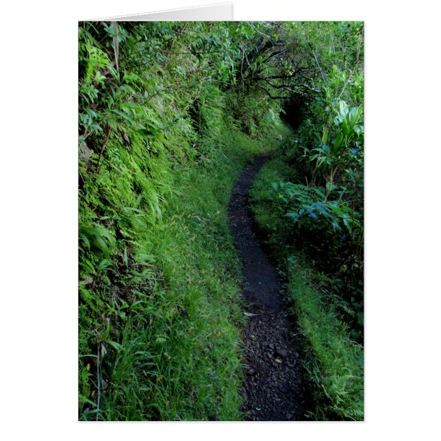 Manoa Cliffs Trail (Vorne)