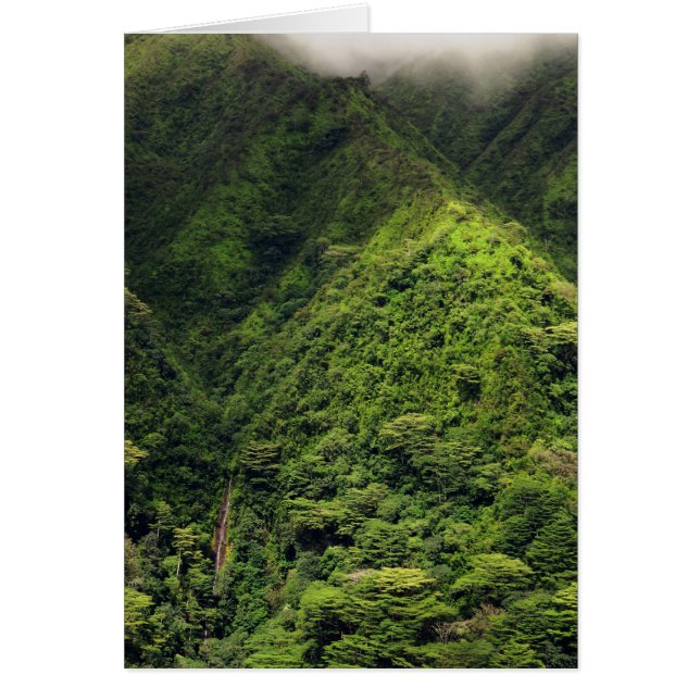 Manoa Falls (Vorne)