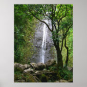 Manoa Falls, O'ahu, Hawai'i Poster (Vorne)