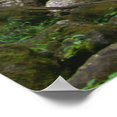 Manoa Falls, O'ahu, Hawai'i Poster (Ecke)