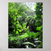 Mānoa-Flussbett Poster (Vorne)